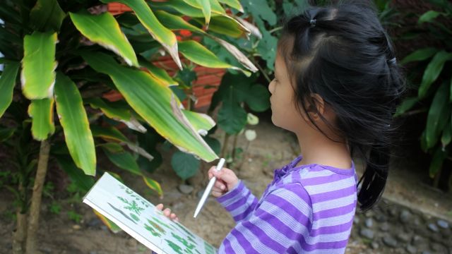 Education outside the classroom, a young girl holds a page with different plants as she attempts to identify a large plant she is standing in front of.