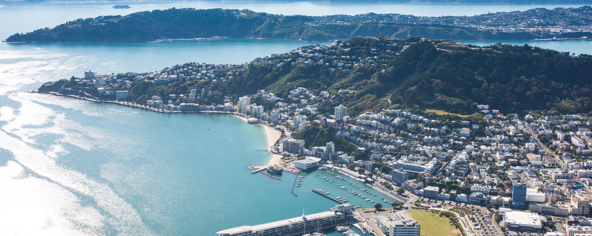 Aerial view of Wellington harbour