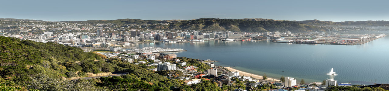 A panoramic view of Wellington.