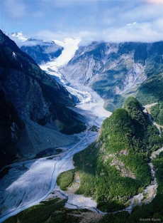 Fox Glacier