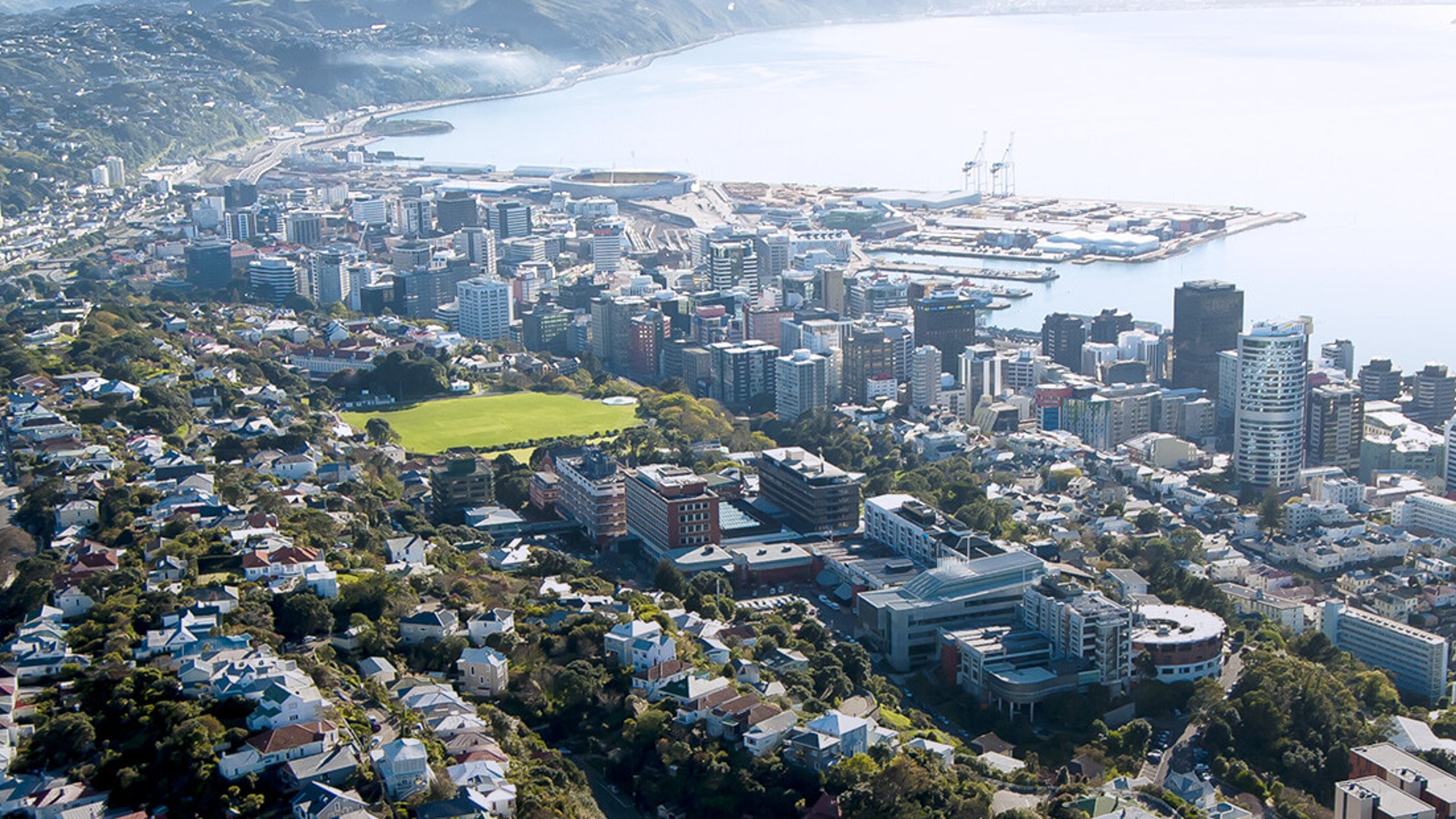 Aerial view of Wellington city