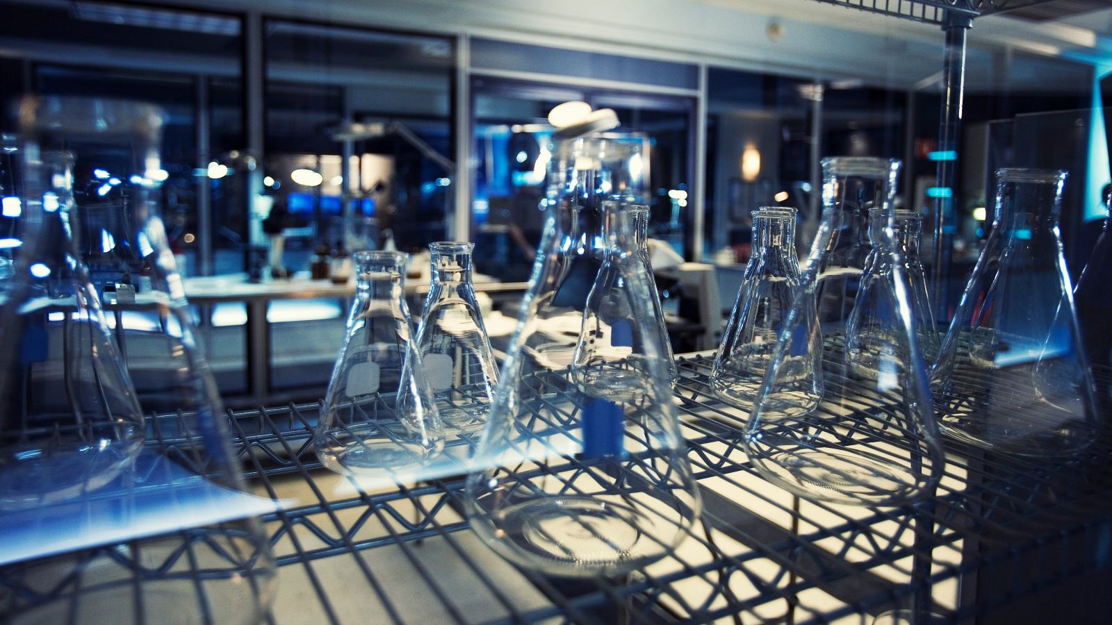 A dozen or so glass beakers or flasks sit on a metal shelf