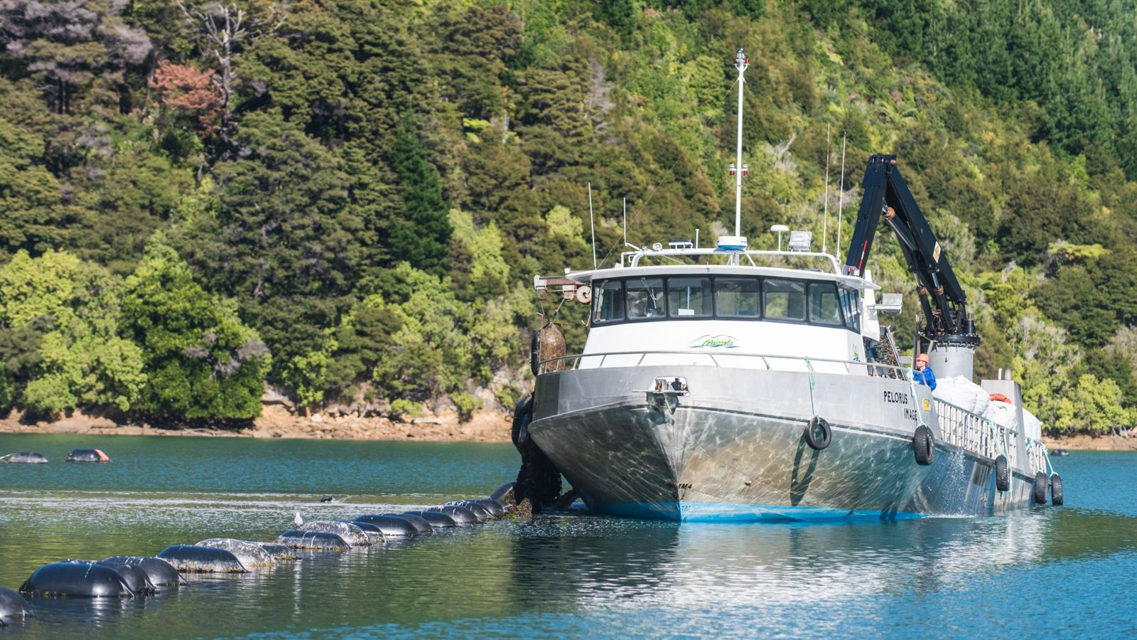 Fishing boat on calm water, pulling up nets 