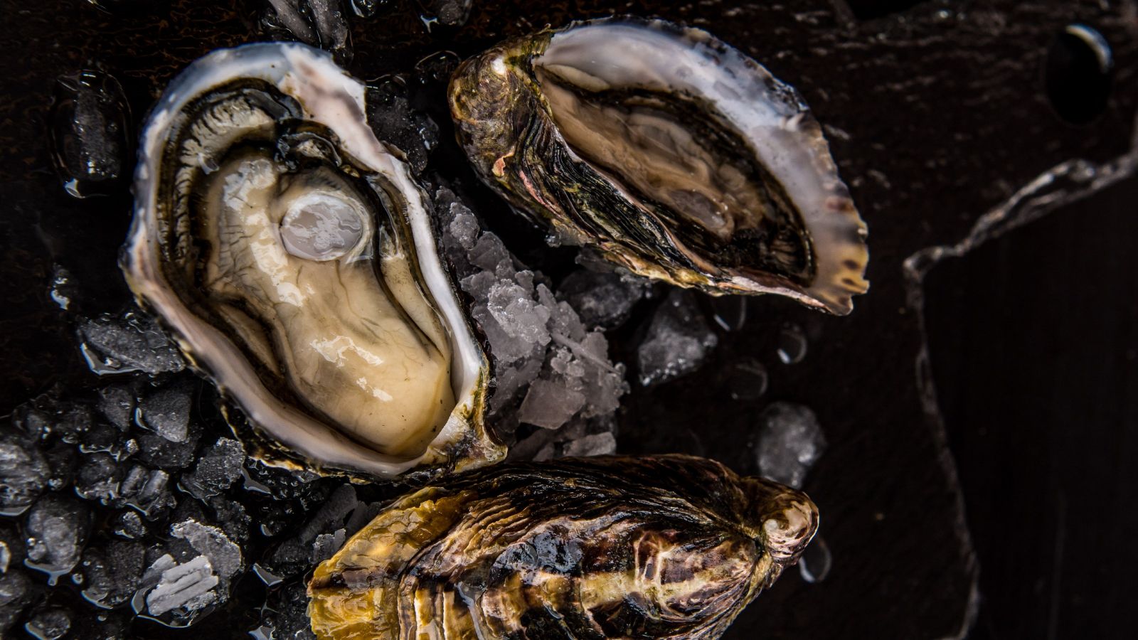 Close up of large, dark shellfish with brown flesh interior