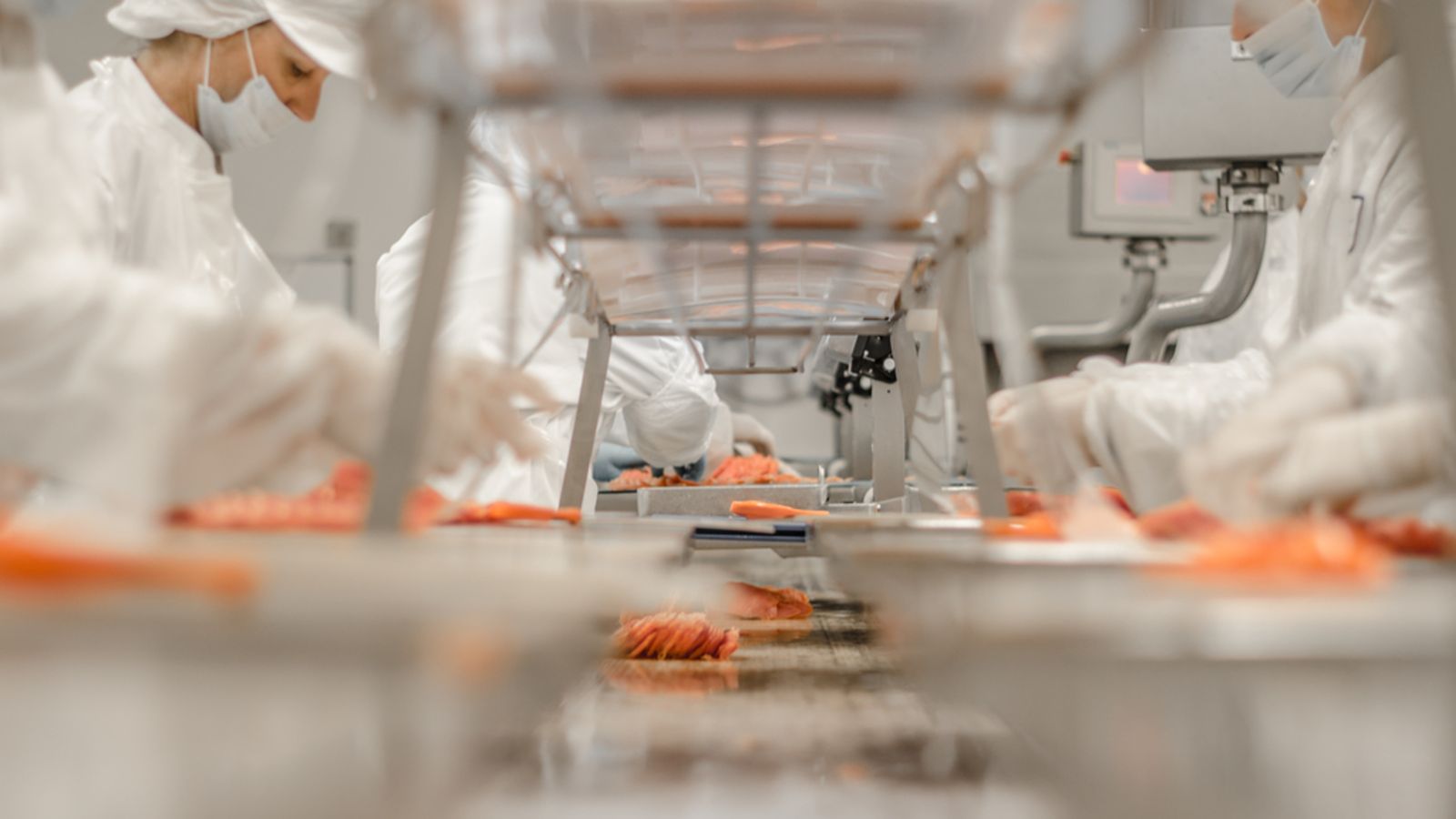People in clean-room gear process salmon in a stainless steel production facility