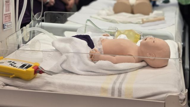 baby mannequin in a simulation bassinette