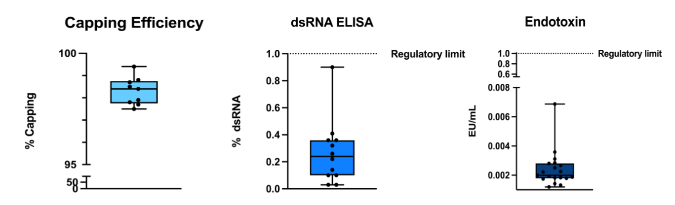 A graphic detailing capping efficiency, dsRNA ELISA and Endotoxin test results
