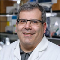 Prof Phil Santagelo profile-picture photograph