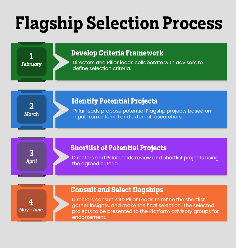 Flagship Selection process infographic