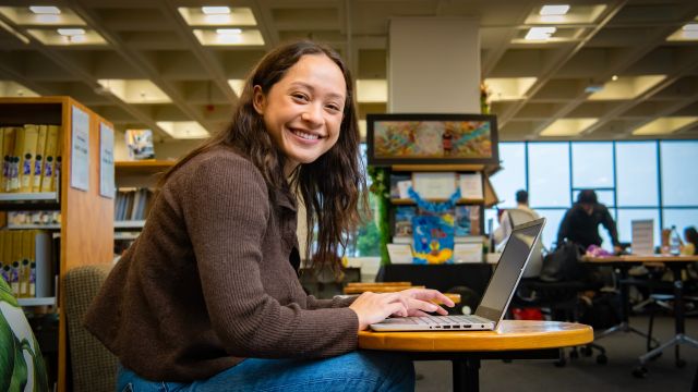 A woman sitting at a desk, working at a laptop.