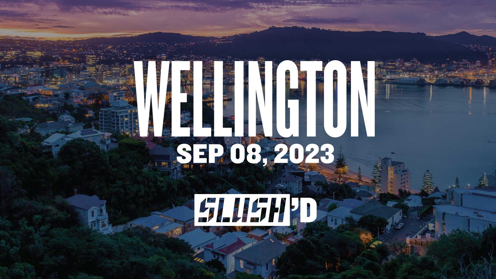 An image featuring a scenic view of Wellington, with houses surrounding a harbor, majestic mountains in the background, and a breathtaking sunset on the horizon.