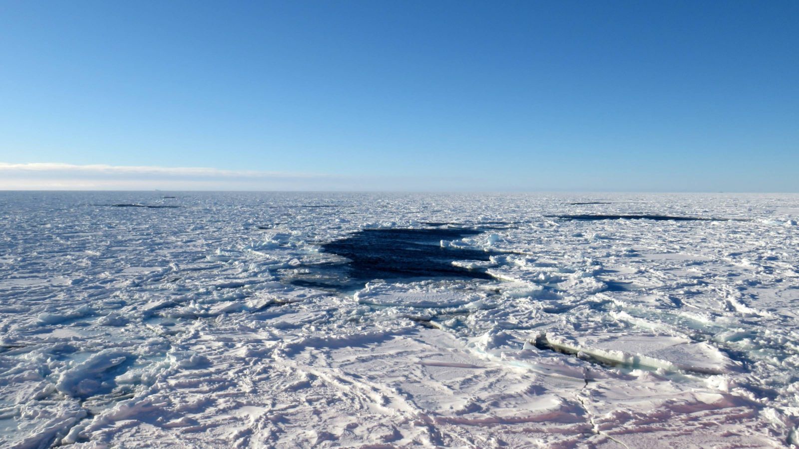 White sea ice with blue sky above 