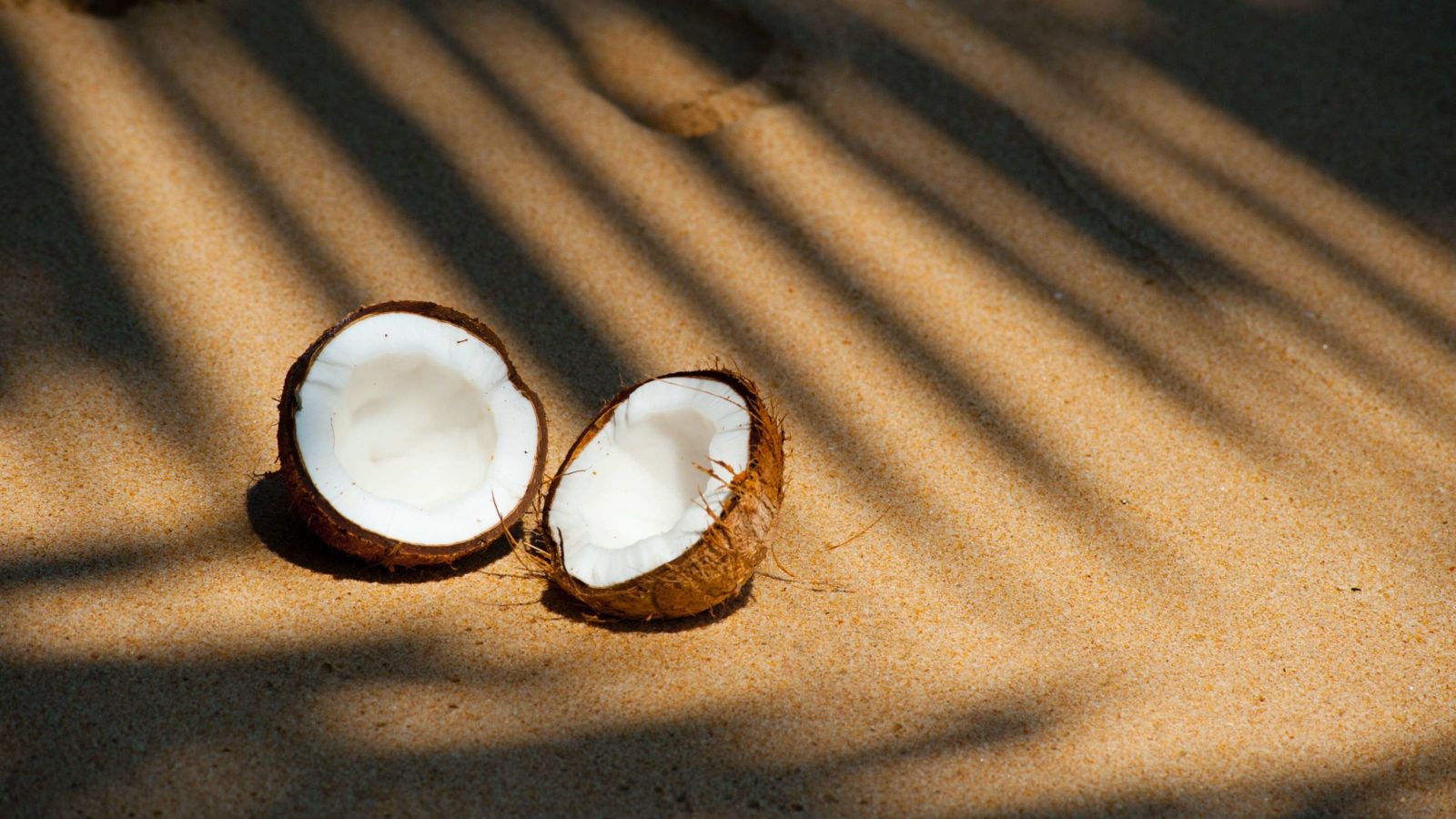Coconut on sandy beach 
