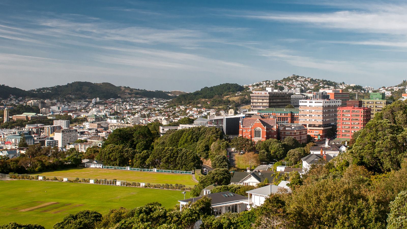 Wide angle of the hunter building with Wellington city in the background, and a grass field in the foreground.