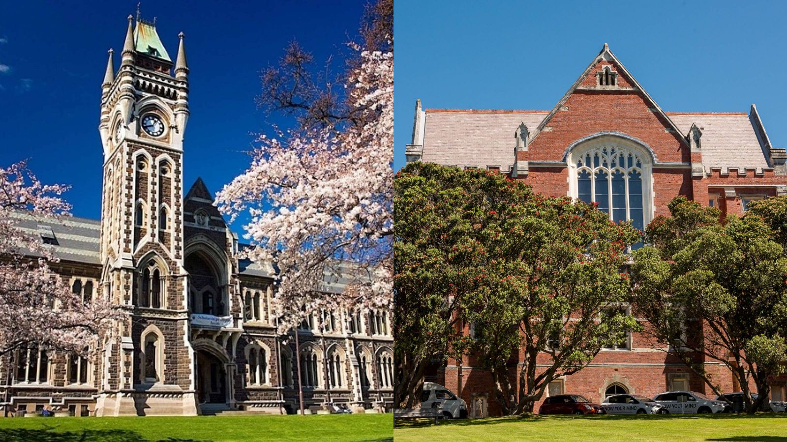 The Clocktower Building at the University of Otago and the Hunter Building at Victoria University of Wellington