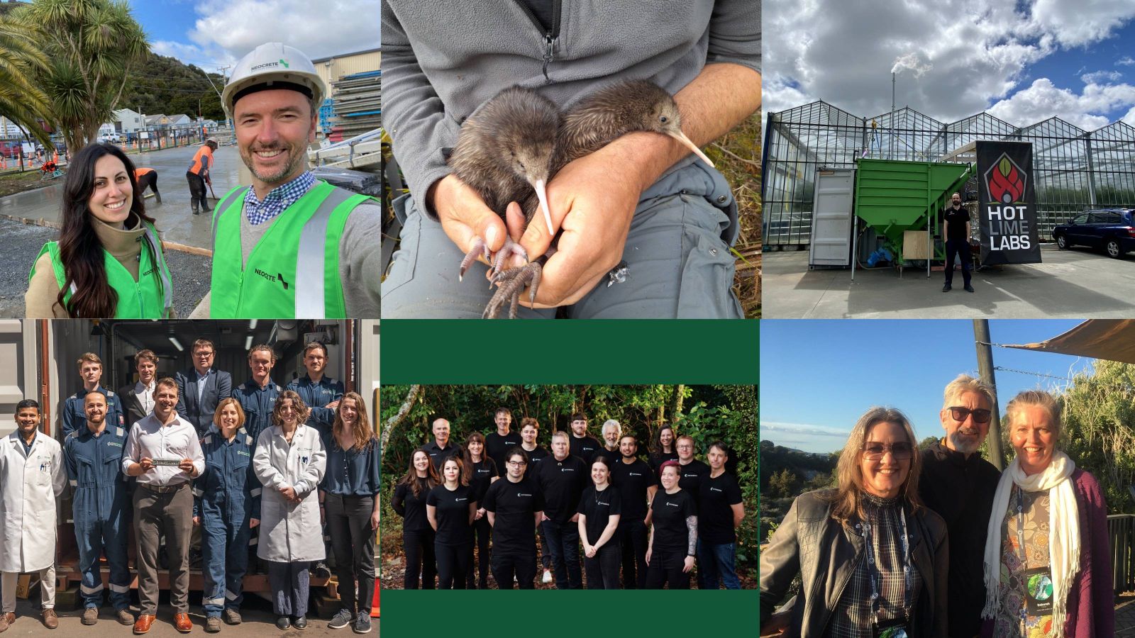 A montage of staff photos of the 2024 Earthshot nominees, and two baby kiwi.