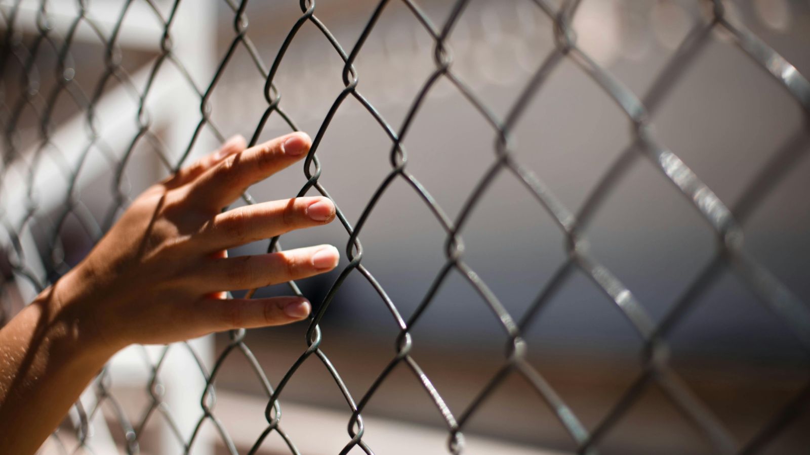 Person's hand on wire fence 