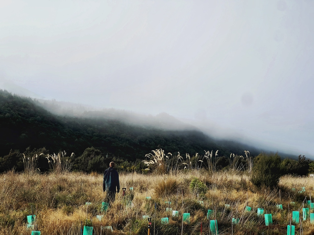 A person standing in a field