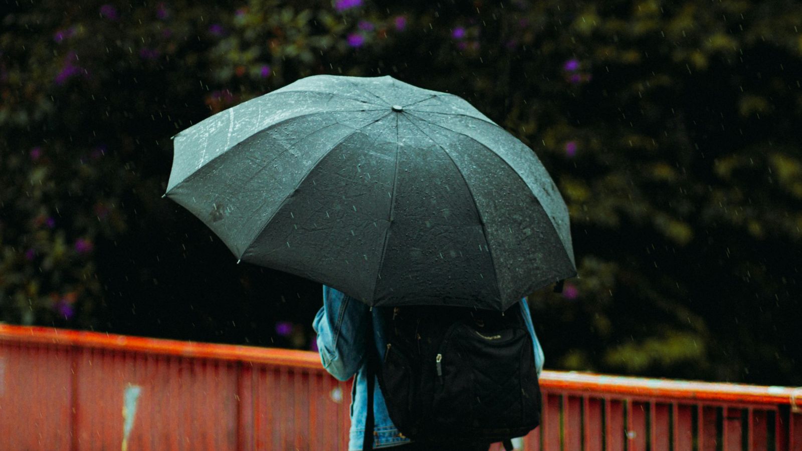 Person walking in rain with a green umbrella 