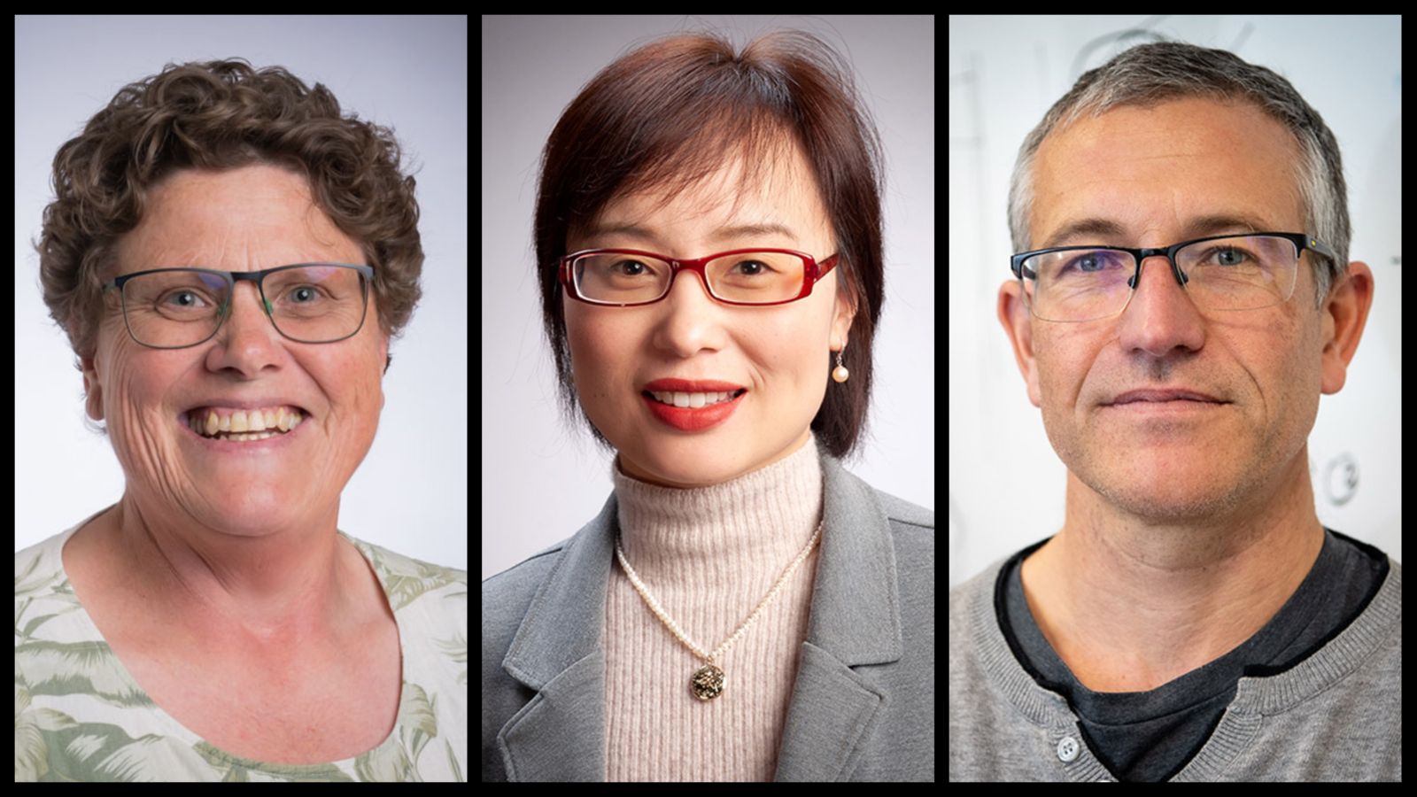 Head and shoulder photos of three new fellows 