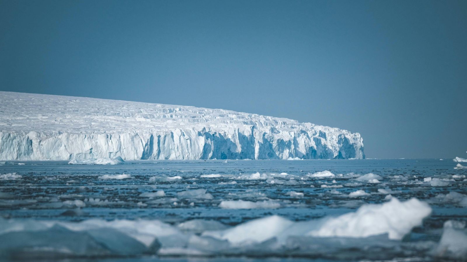 Icebergs floating in the ocean under a blue sky 