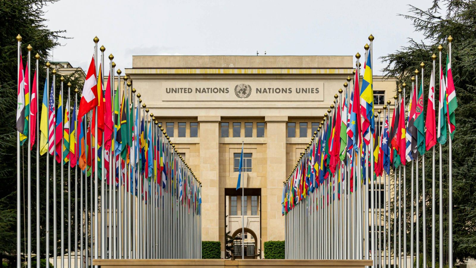 UN building with flags various countries in foreground 