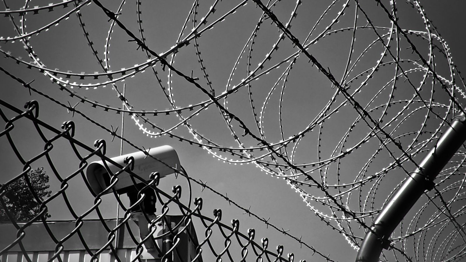 Black and white photo of barbed wire fence with security camera 