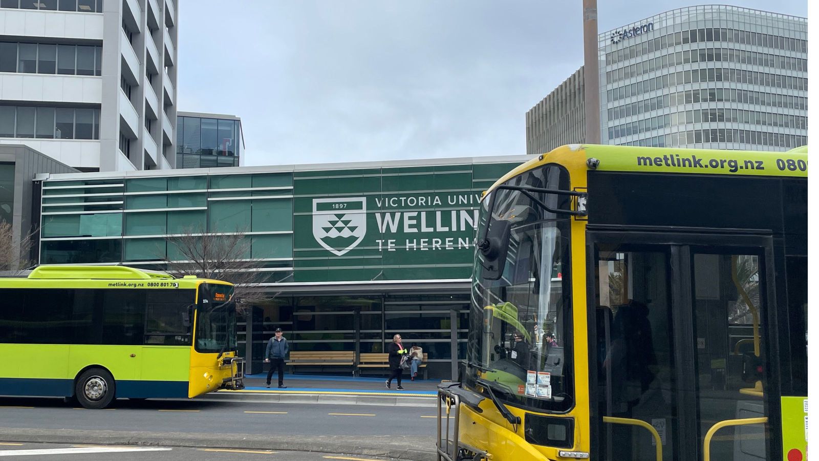 two buses on a street outside a building with Te Herenga Waka branding on it