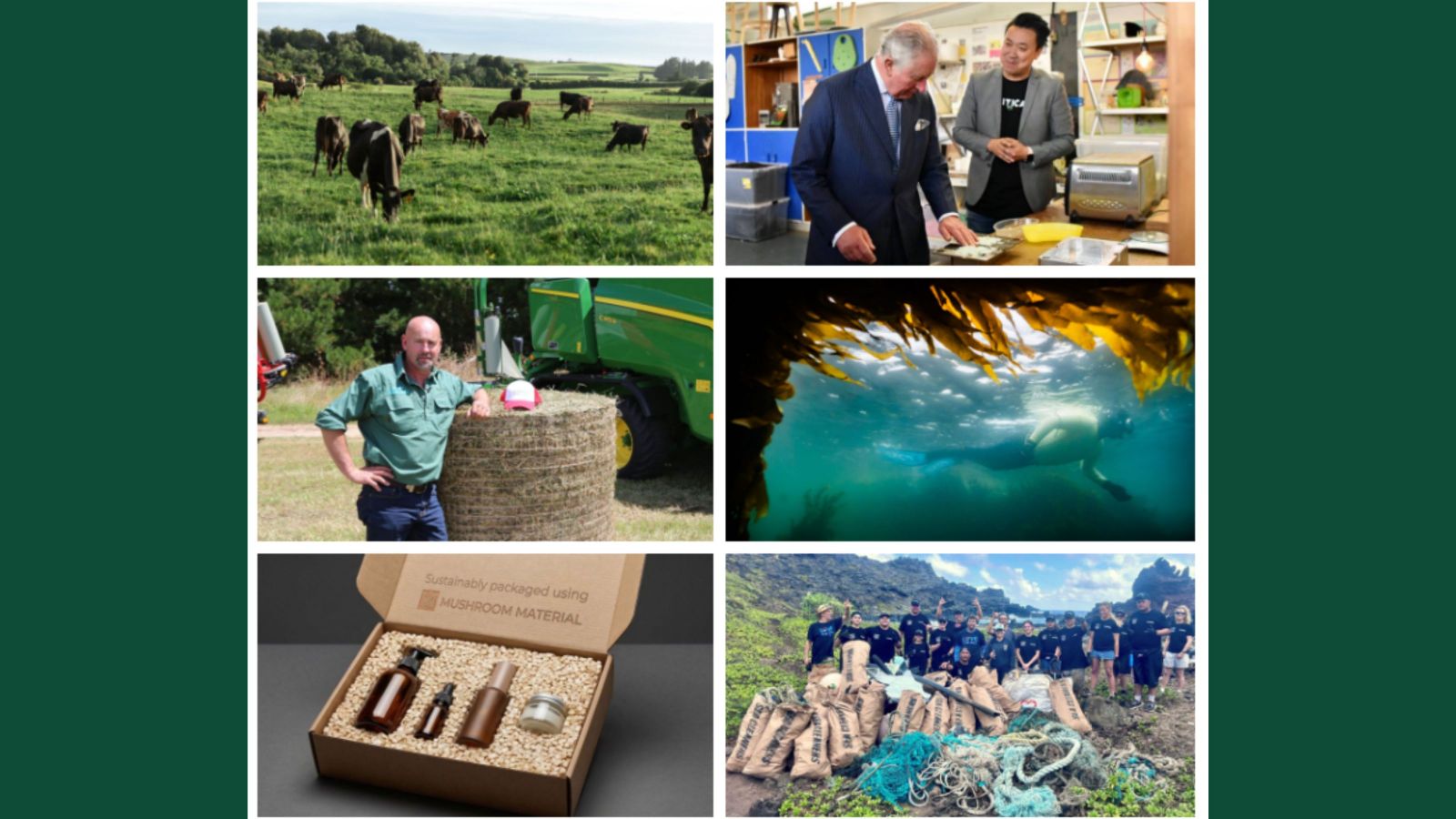 Six images in a grid showing the Earthshot Prize nominees including innovative packaging, jute netting, a scuba diver by a kelp forest, young people collecting rubbish, dairy cows, and King Charles meeting with a company founder