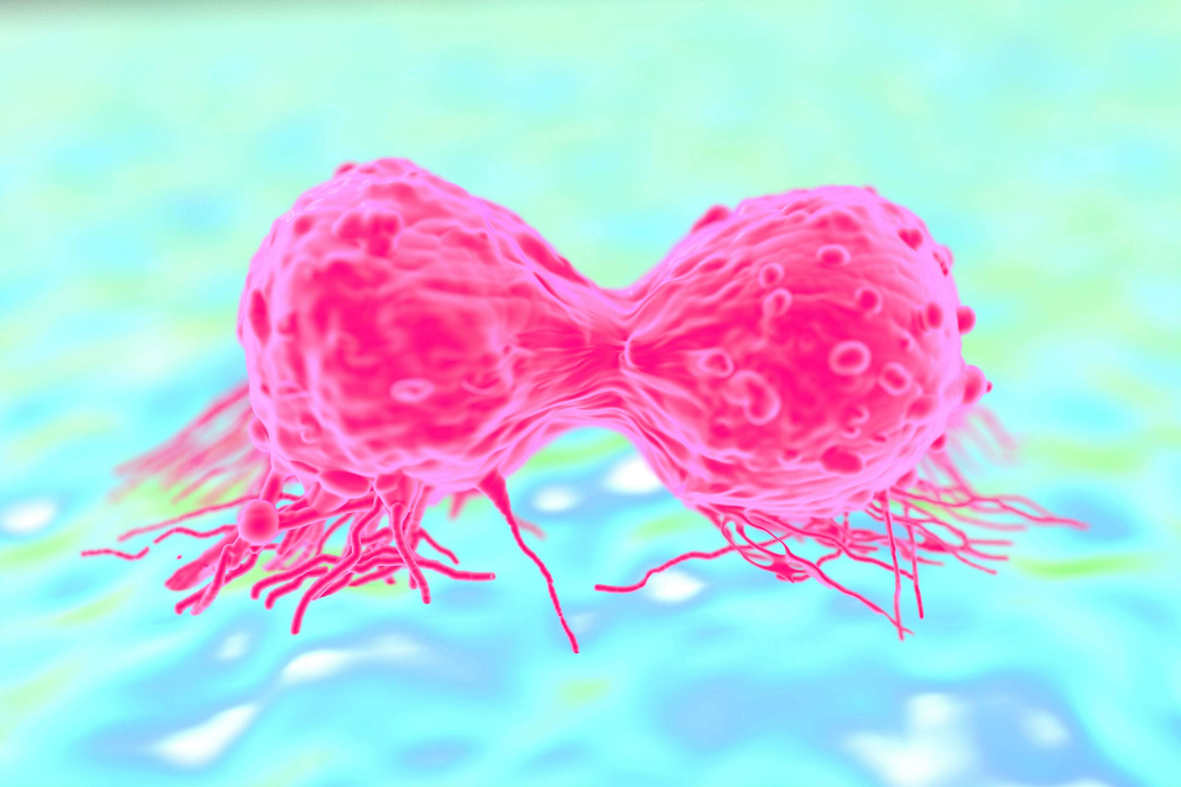 Computer render of a dividing breast cancer cell’