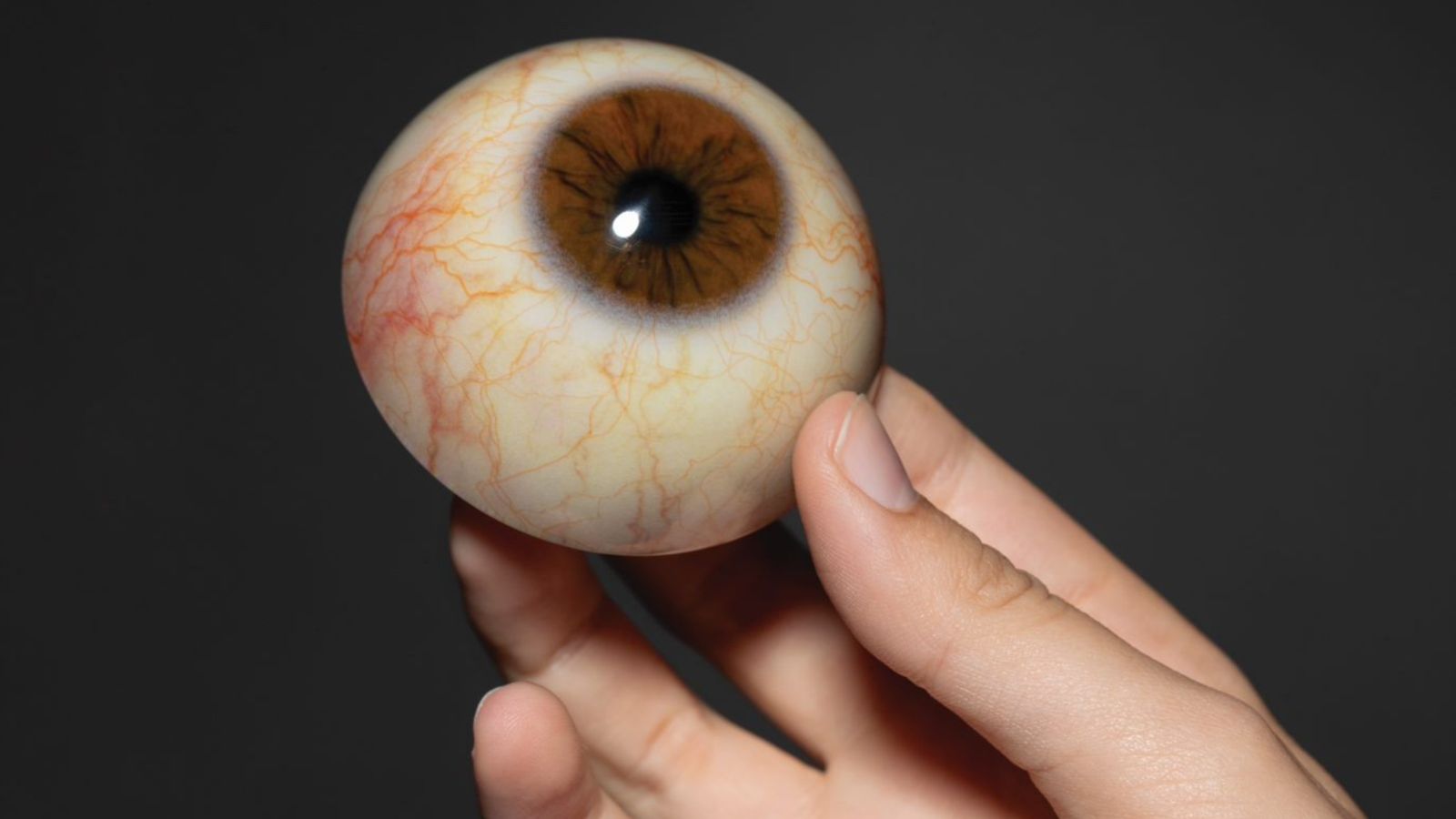 A hand holds a large prosthetic eye.