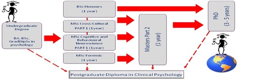 Postgraduate structure.