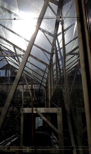 VUCEL glasshouse