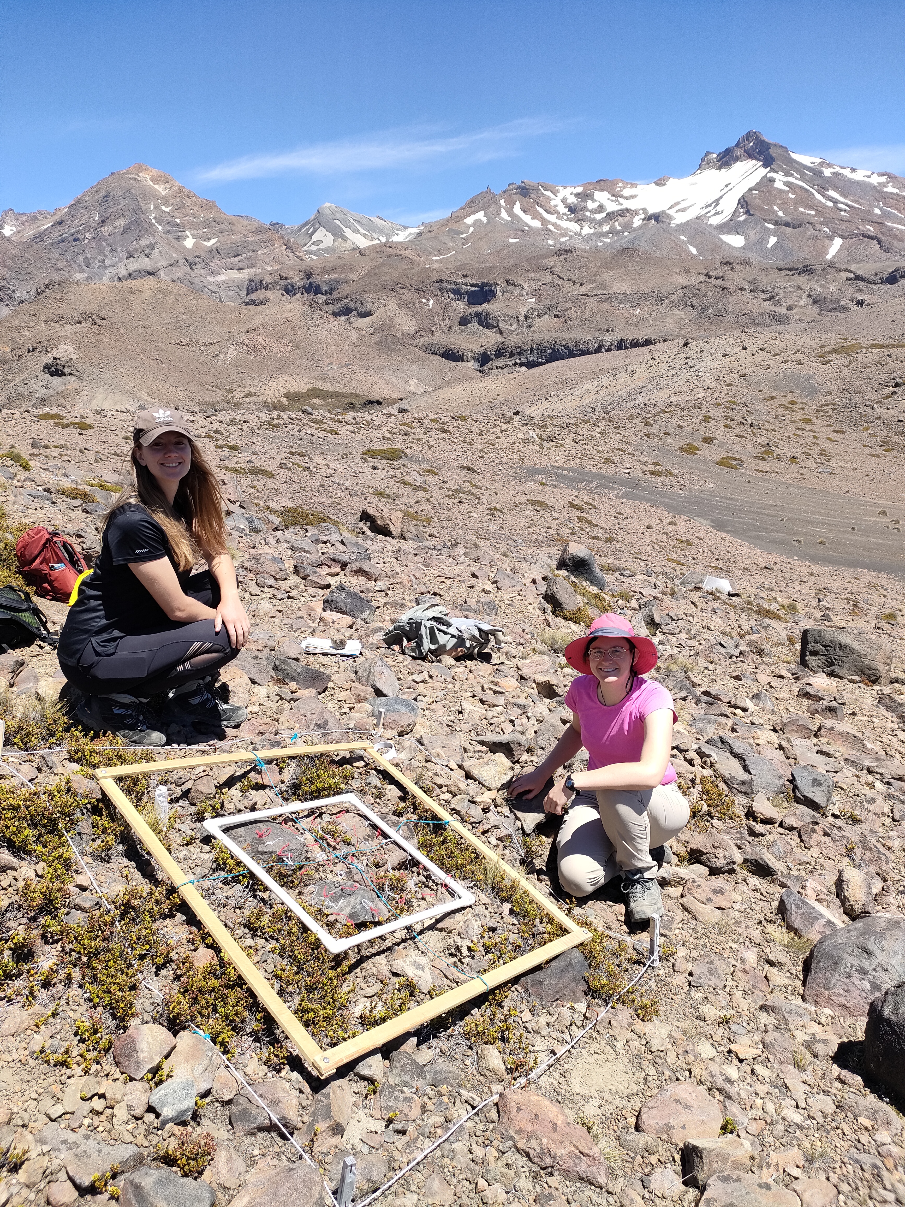 Two people kneeling beside a square vegetation plot marked with measuring frames and strings in a rocky alpine landscape, with steep mountain peaks and patches of snow in the background under a clear sky.