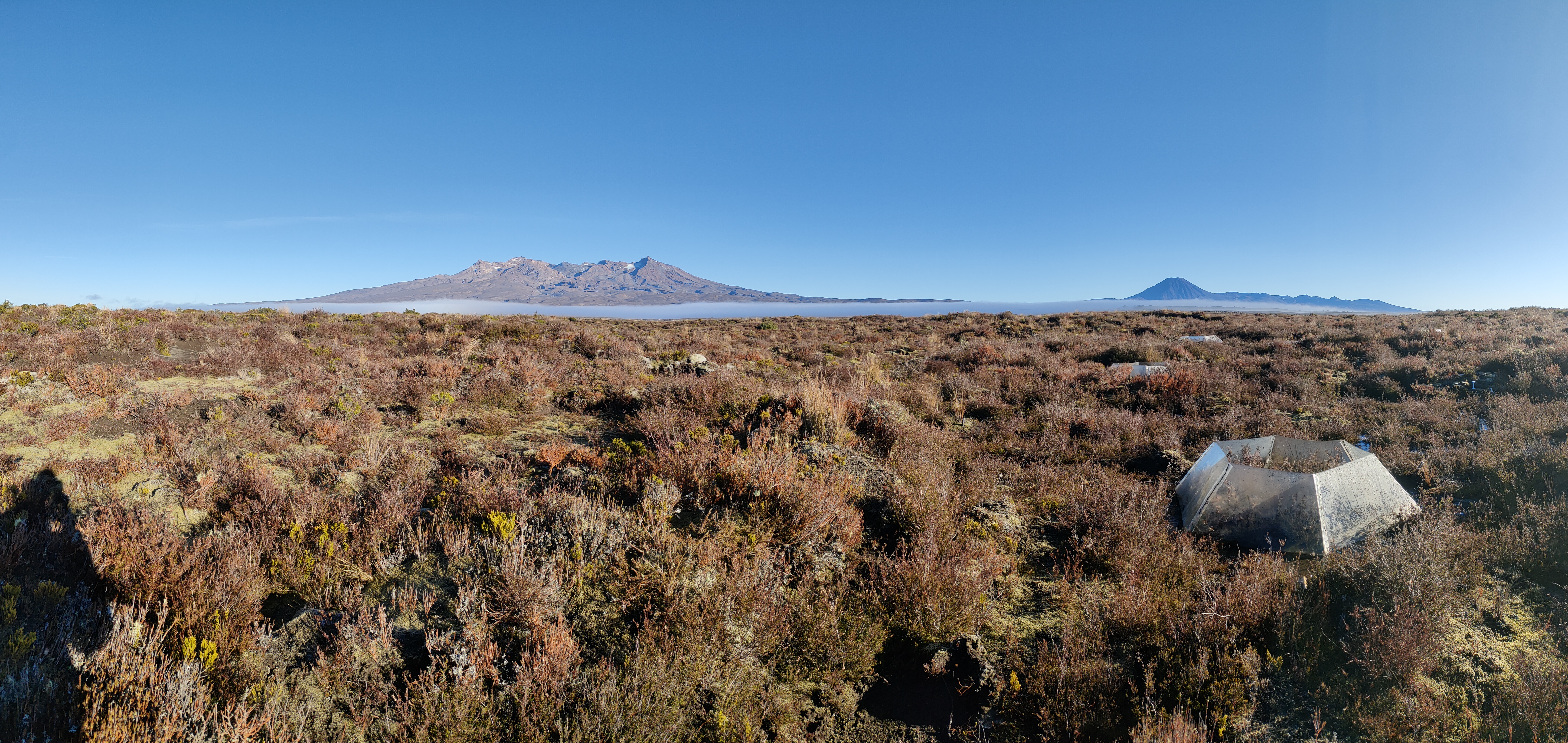 Wide alpine landscape of Desert Road with low scrub and tussock in the foreground, distant mountain ranges under a clear blue sky, and a clear plastic research enclosure installed among the vegetation.