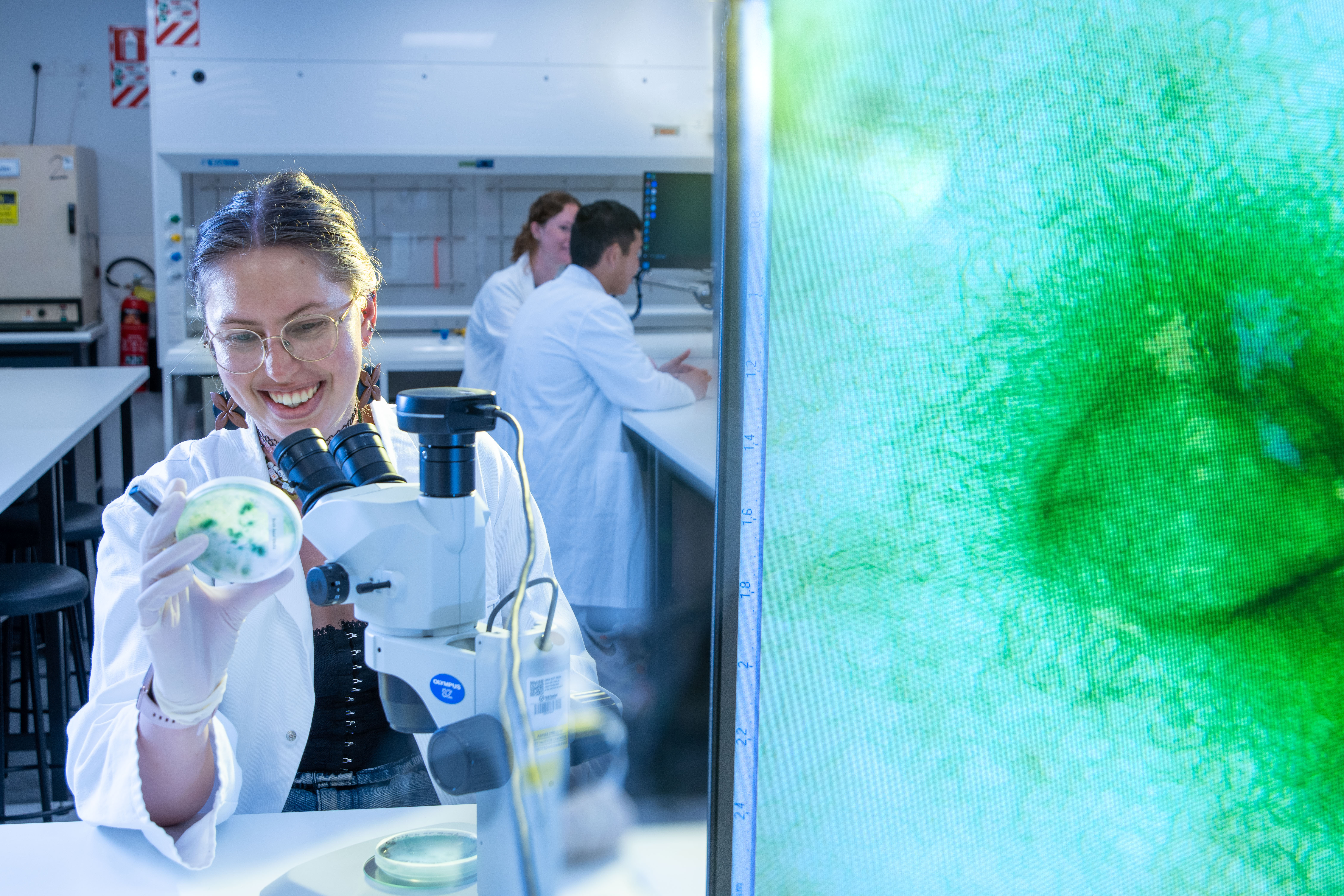 A Biomedical Sciences student uses a microscope and examines a petri dish containing microbial growth in a teaching laboratory. Other students work at laboratory benches in the background, while a large projected image of a magnified biological sample is displayed alongside the laboratory scene.