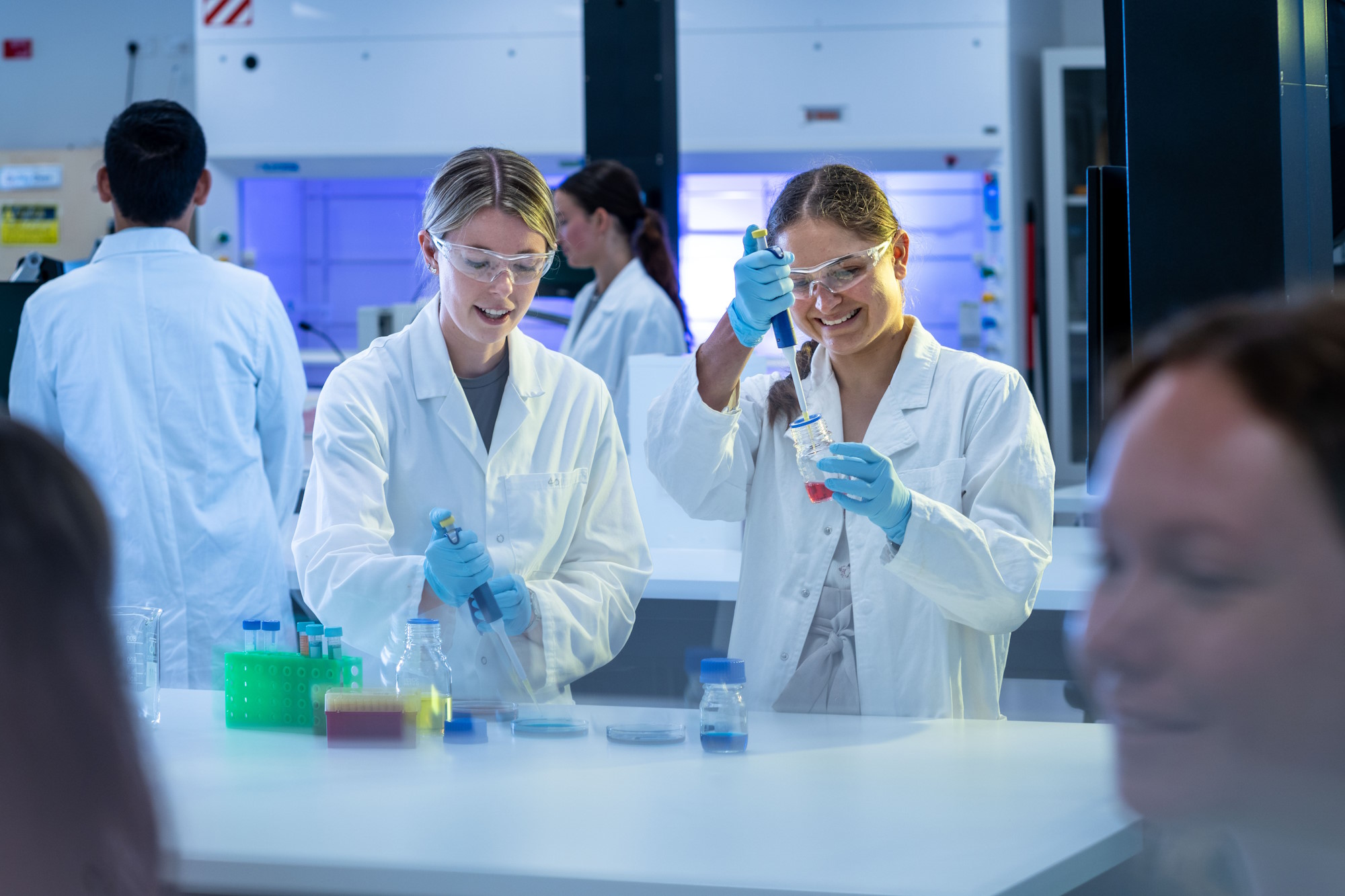 Students using micropipettes to transfer liquid samples during a practical cell and molecular biology laboratory class.