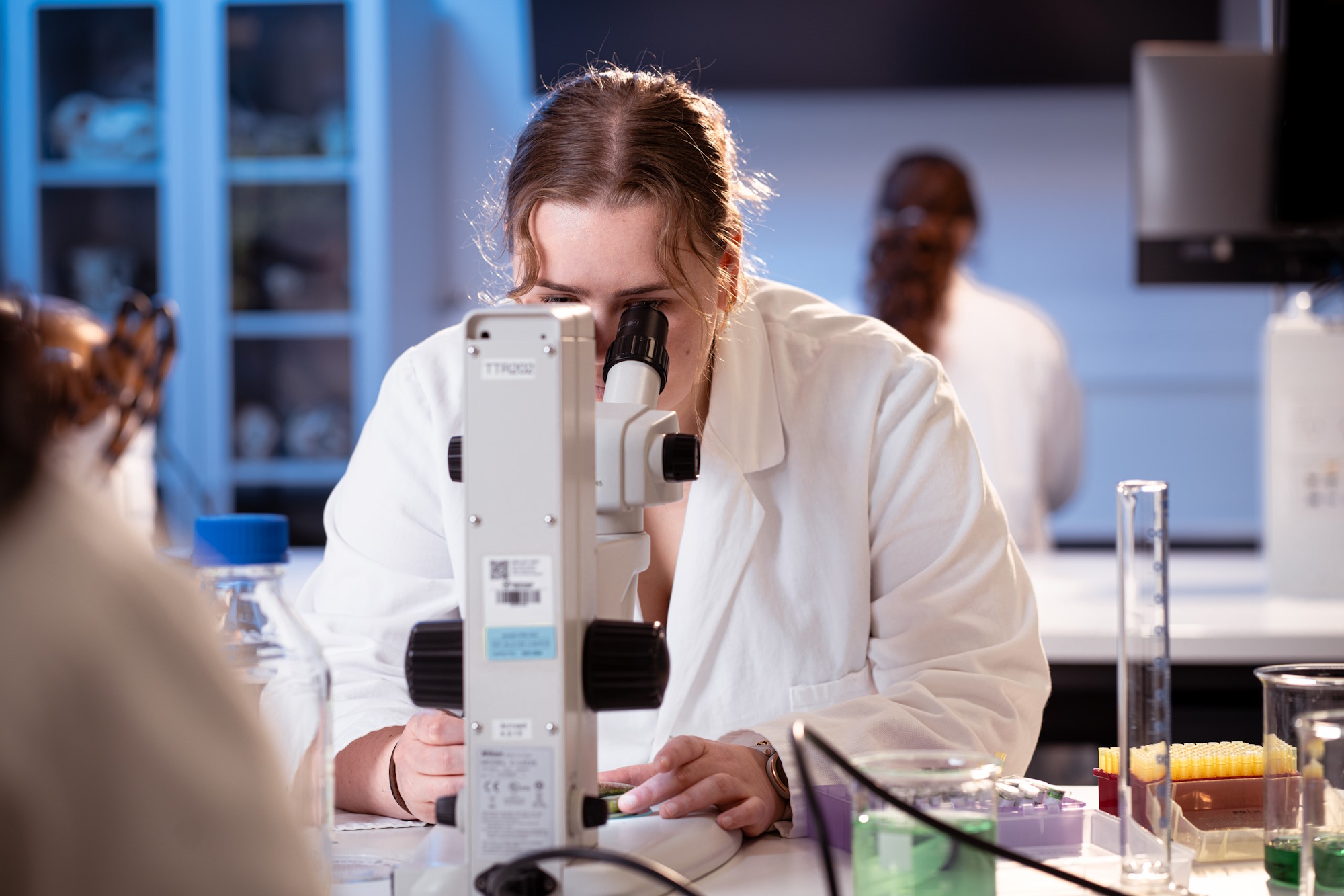 Student using a microscope to examine biological samples during a cell and molecular bioscience laboratory class.