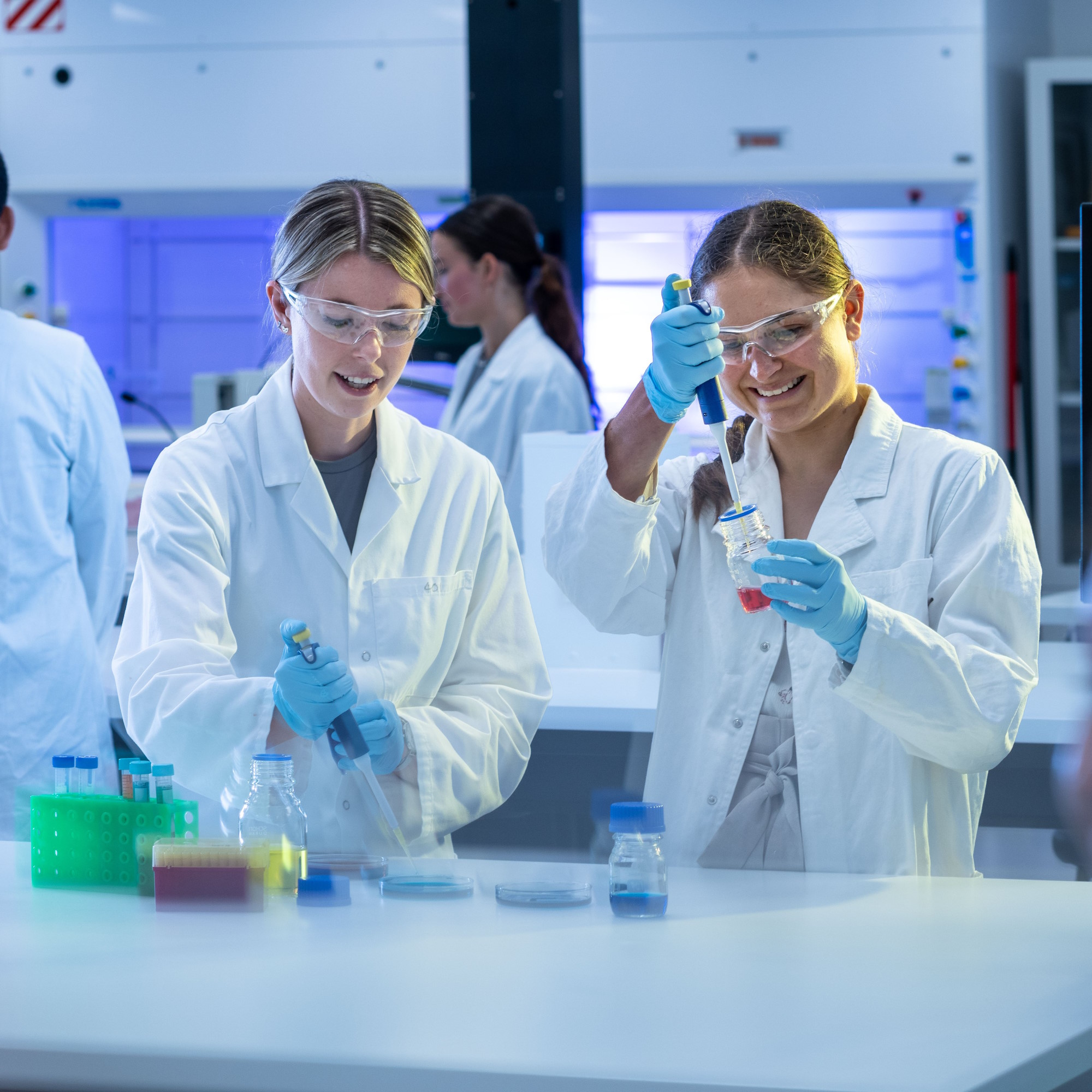 Students using micropipettes to transfer liquid samples during a practical cell and molecular biology laboratory class.