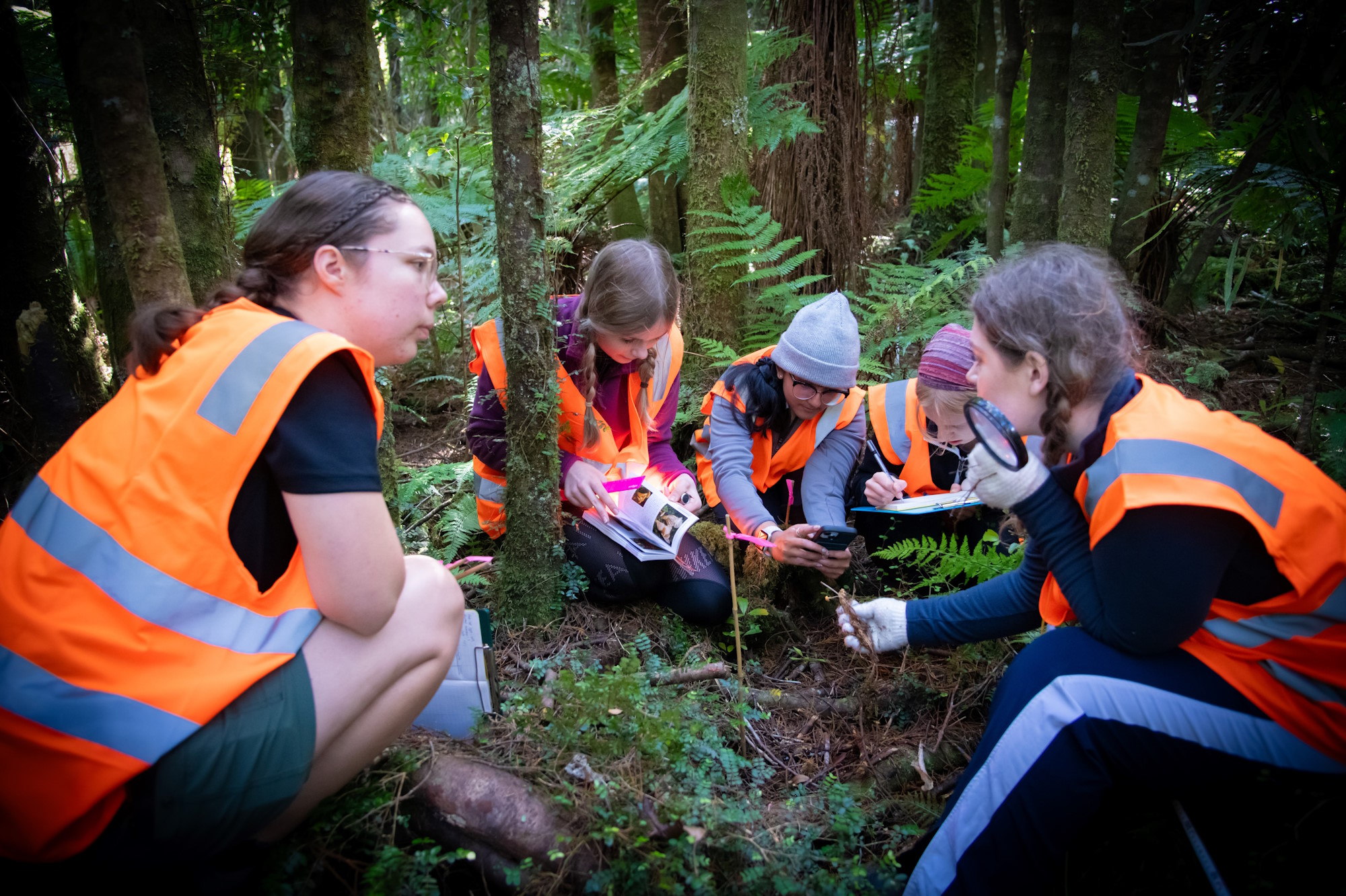 Students conducting fieldwork in a native forest, recording observations and examining plants on the forest floor.