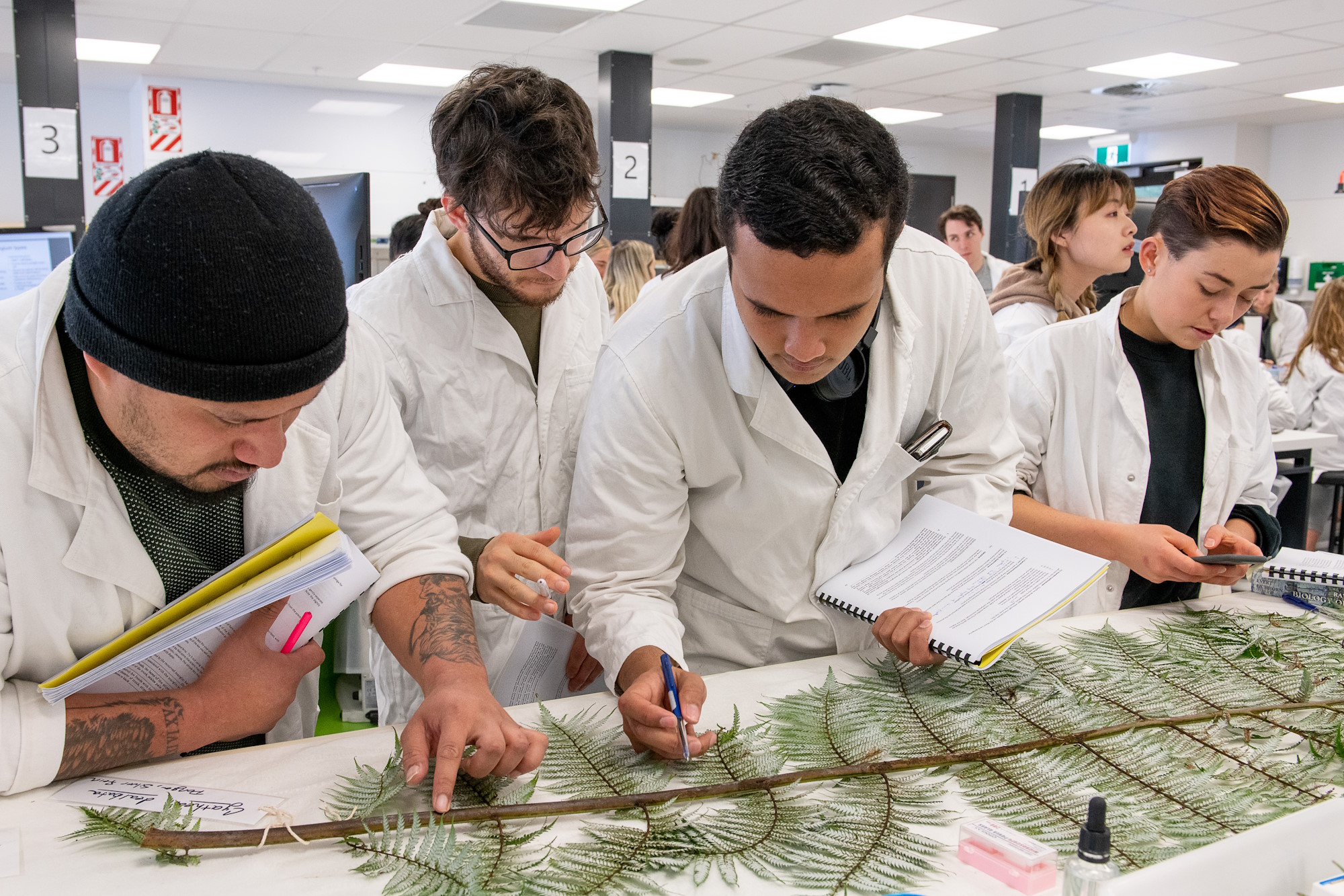 Students examining and identifying plant specimens during an ecology and biodiversity laboratory class.