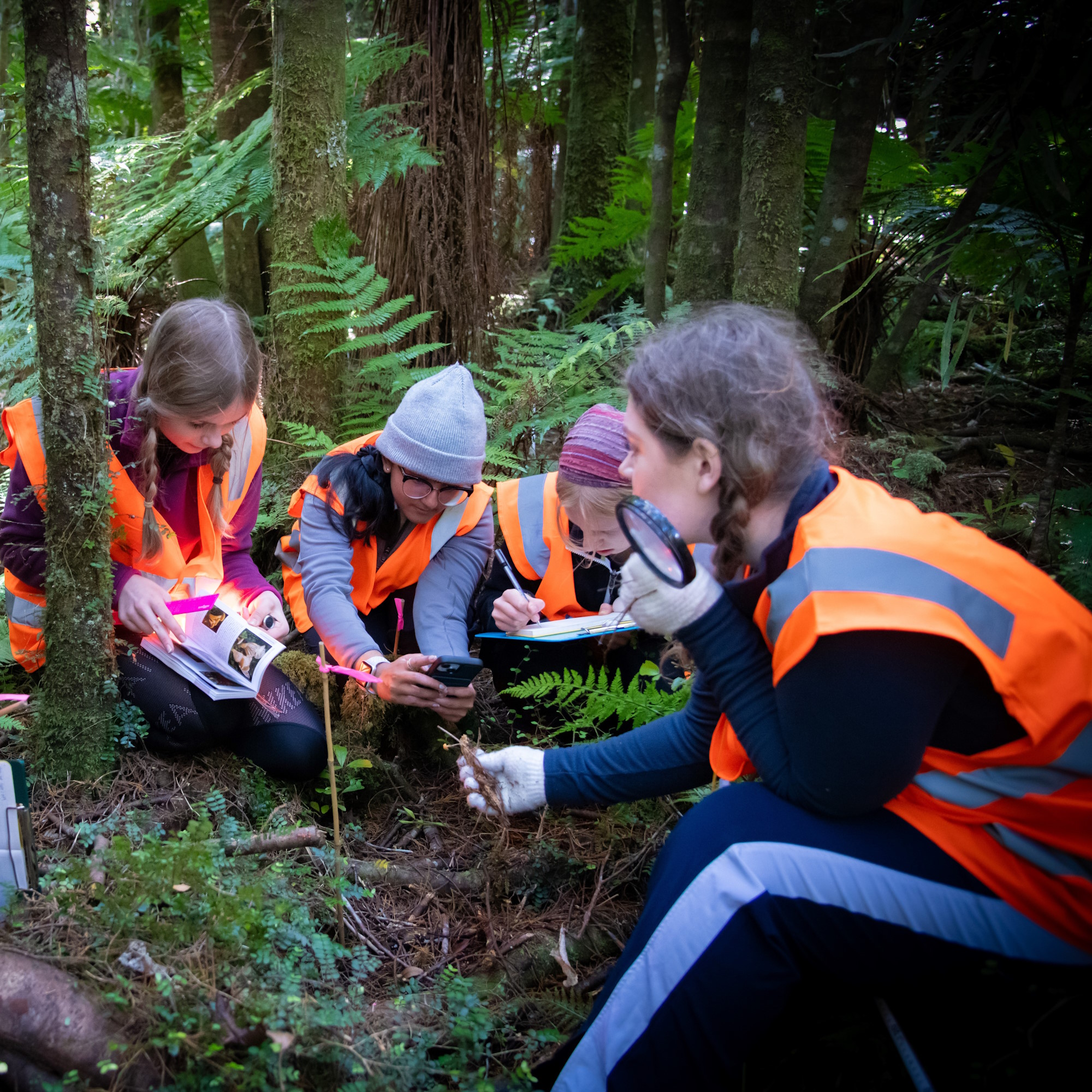 Students conducting fieldwork in a native forest, recording observations and examining plants on the forest floor.
