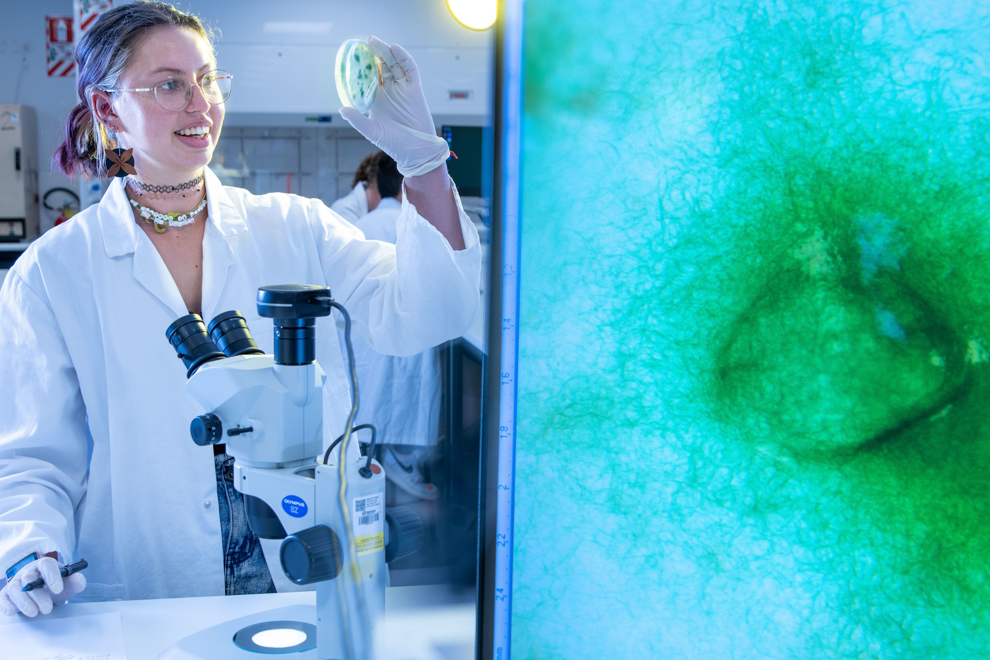 Student examining a petri dish beside a microscope in a biotechnology laboratory, with a magnified biological sample displayed on a large screen.