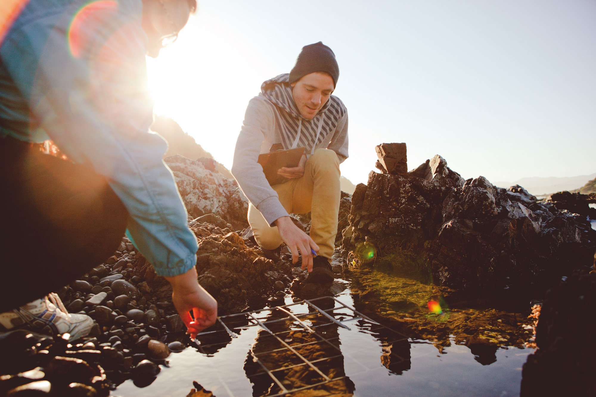 Students conducting fieldwork in a rocky intertidal environment, using a quadrat to survey marine organisms in a tidal pool.