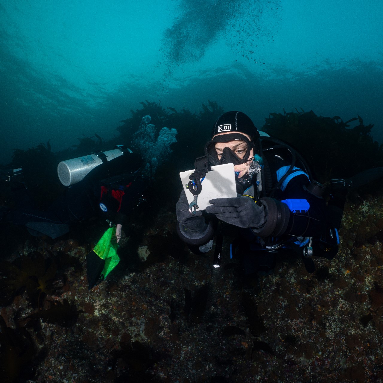 A person holding an underwater camera
