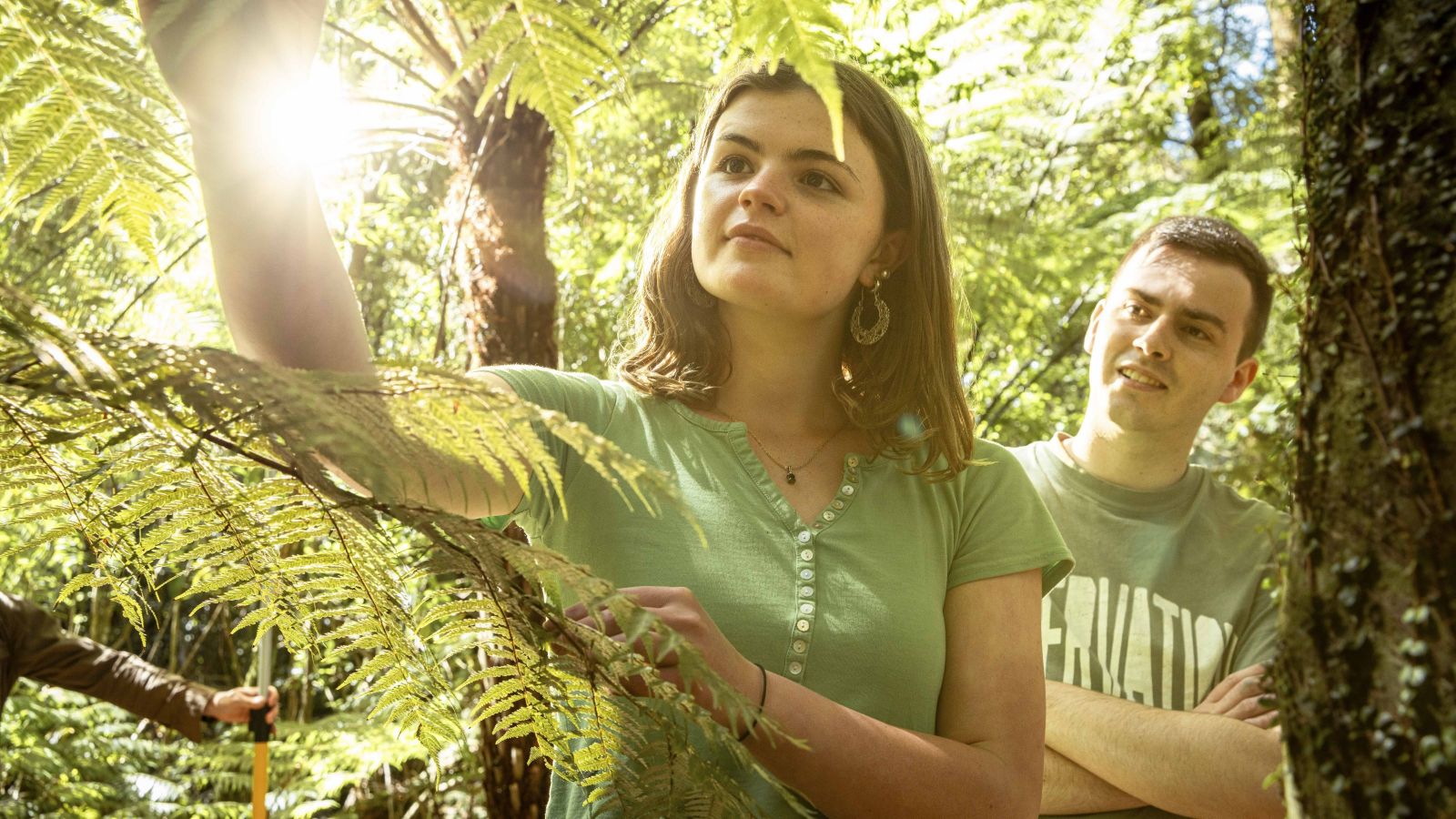 Students examine native forest plants during a field study in a fern-filled bush environment. One student closely inspects a fern frond while another observes, surrounded by dense vegetation and tree ferns illuminated by natural sunlight.