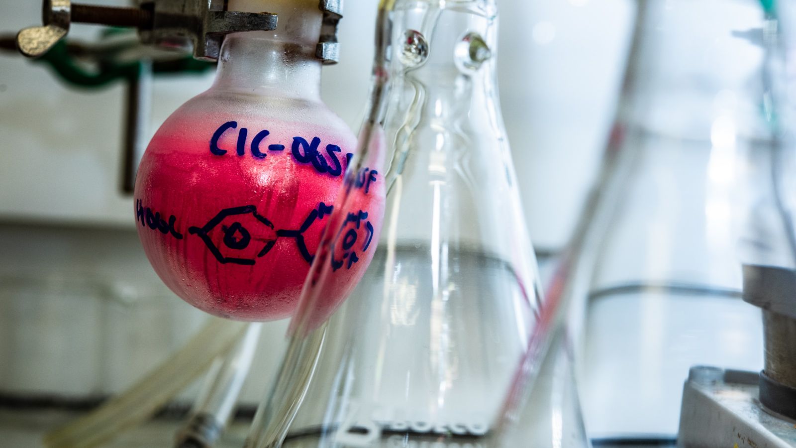 Pink solution in a round-bottom flask in a lab setup with other glassware