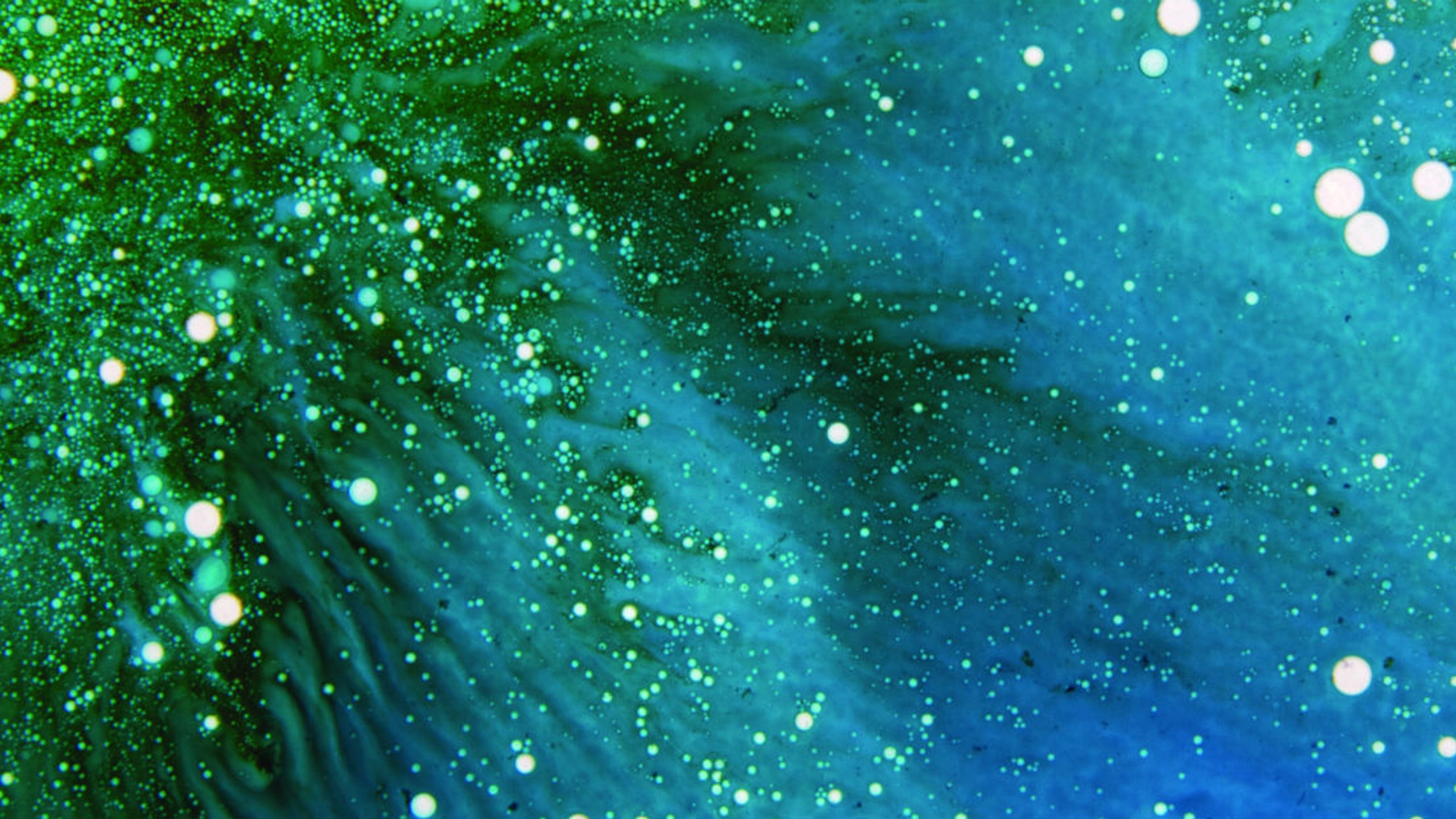 Microscopic or abstract view of green-blue organism with white dots
