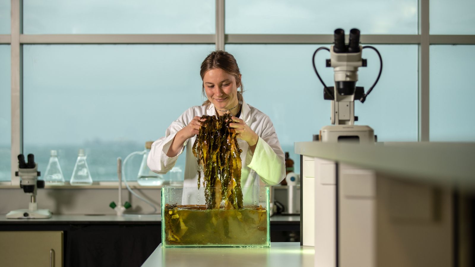 Lisa Wolf, Masters student, stands in a lab in a lab coat, pulling seaweed out of a tank.