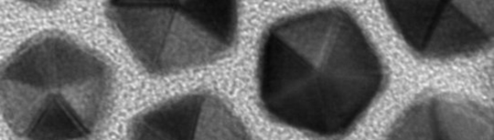 electron microscope image 
